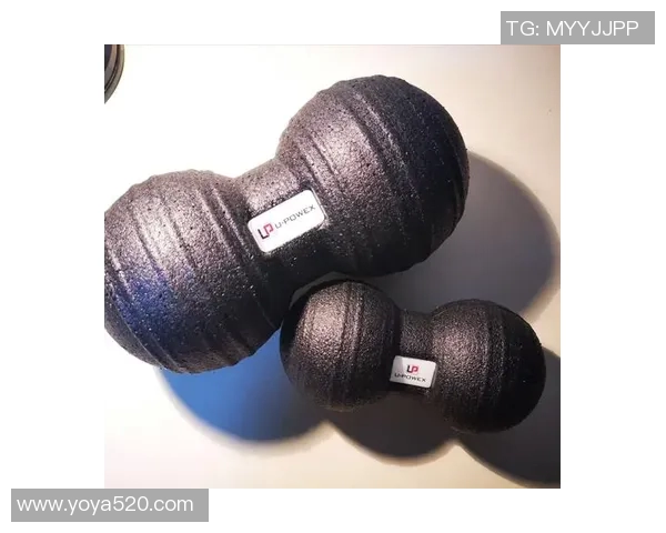 全面解析室内小型健身器材推荐助你轻松打造家庭健身房