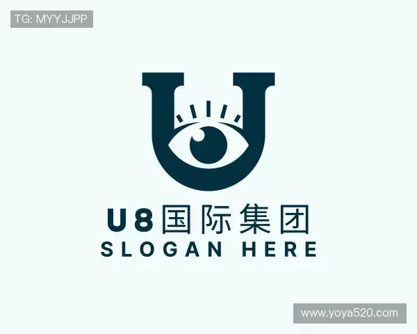 了解U8国际集团